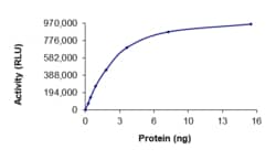 Sino Biological&nbsp;Recombinant Human GSK-3 beta/GSK3B Protein (Full Length, C199A, His Tag), Active